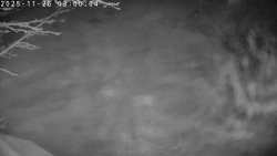 Údolí Dolní Dvůr