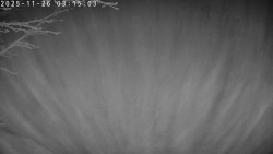 Údolí Dolní Dvůr