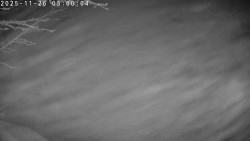 Údolí Dolní Dvůr