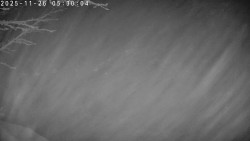 Údolí Dolní Dvůr