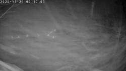 Údolí Dolní Dvůr