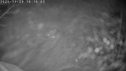 Údolí Dolní Dvůr