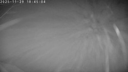 Údolí Dolní Dvůr