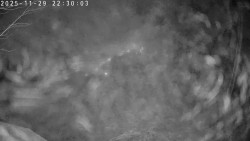 Údolí Dolní Dvůr