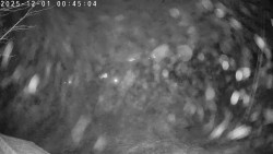 Údolí Dolní Dvůr