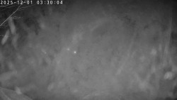 Údolí Dolní Dvůr