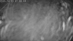 Údolí Dolní Dvůr