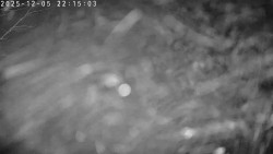 Údolí Dolní Dvůr