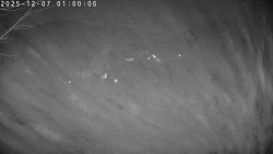 Údolí Dolní Dvůr