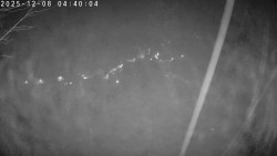 Údolí Dolní Dvůr