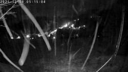 Údolí Dolní Dvůr