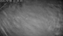 Údolí Dolní Dvůr