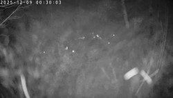 Údolí Dolní Dvůr