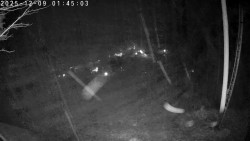 Údolí Dolní Dvůr