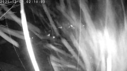 Údolí Dolní Dvůr