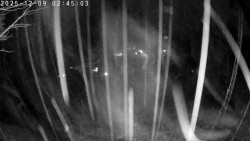 Údolí Dolní Dvůr