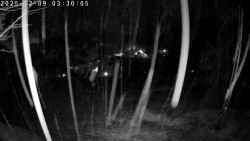 Údolí Dolní Dvůr