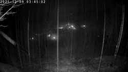 Údolí Dolní Dvůr