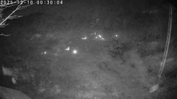 Údolí Dolní Dvůr