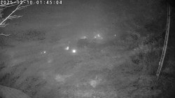 Údolí Dolní Dvůr