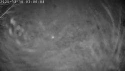 Údolí Dolní Dvůr