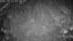 Údolí Dolní Dvůr