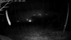 Údolí Dolní Dvůr