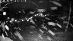 Údolí Dolní Dvůr