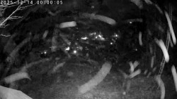 Údolí Dolní Dvůr