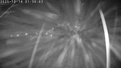 Údolí Dolní Dvůr