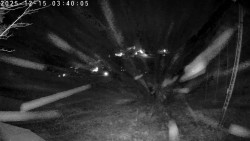 Údolí Dolní Dvůr