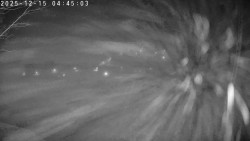 Údolí Dolní Dvůr