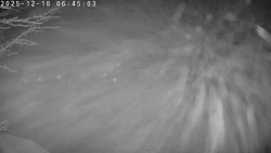 Údolí Dolní Dvůr