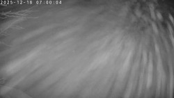 Údolí Dolní Dvůr