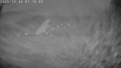 Údolí Dolní Dvůr