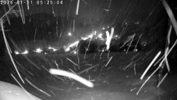 Údolí Dolní Dvůr