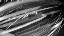 Údolí Dolní Dvůr