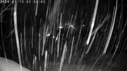 Údolí Dolní Dvůr