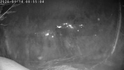 Údolí Dolní Dvůr