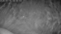 Údolí Dolní Dvůr