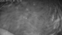 Údolí Dolní Dvůr