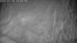 Údolí Dolní Dvůr