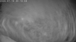 Údolí Dolní Dvůr