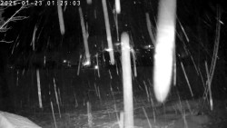 Údolí Dolní Dvůr