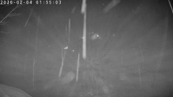 Údolí Dolní Dvůr