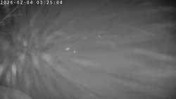 Údolí Dolní Dvůr