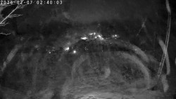 Údolí Dolní Dvůr