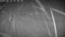 Údolí Dolní Dvůr