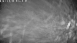 Údolí Dolní Dvůr