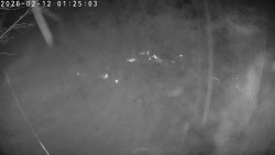 Údolí Dolní Dvůr